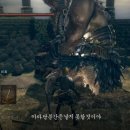 태양미트 이미지