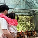 아침이슬반 민서의 추석 이야기 이미지