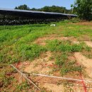 대현2호 이미지