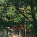 숲속의 쉼터 이미지