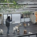 독플레이스 이미지