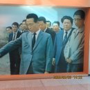 신도리-8 이미지