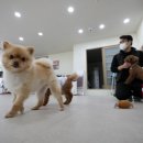 대구축산 동물병원 이미지