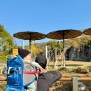 기린푸드코트 이미지