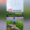 문희농장 이미지