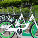 에코환경 이미지