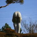 미림 이미지