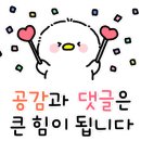 심봉사도로케 인천부평구청점