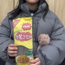 선태권도 이미지