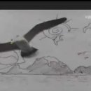 임동초교 이미지