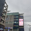자갈치시장 | 남포동 자갈치시장 회 맛집 영도상회 회 포장 후기