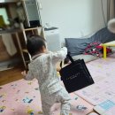 보성 동화나라어린이집 | [소중이 + 330-348일] 보성여행/ 어린이집 입소확정/유아식 시작/베베풀데이/낮잠이불/블루마마 모두...