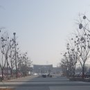 숙이네국집 이미지