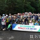 제주감귤농업협동조합중문지점 이미지