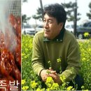 착한푸드족발 이미지