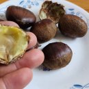 구로-고척-구로-571 이미지