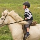 분당승마클럽 이미지