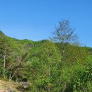 호두부동산공인중개사사무소 이미지