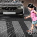 14단지횡단보도 이미지