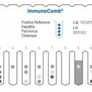 슈슈 동물병원 이미지