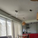 마이오리진 이미지