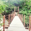 고요한꽃뜰 이미지