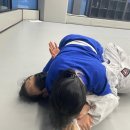 [주짓수 / 불당동주짓수] 천안 주짓수 천안와이어주짓수주짓수