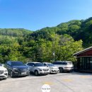 울릉벚꽃 | 🇰🇷 울릉도 독도 여행 2일차 ▶ 봉래폭포, 서울집(호박막걸리, 호박식혜, 삼나물무침, 녹두빈대떡) 후기