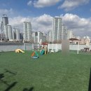 유폴 애견셀프목욕, 애견미용, 애견용품 직영점 이미지