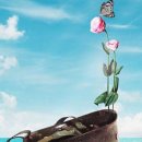 뮤지컬 여신님이 보고 계셔 이미지