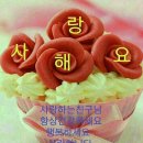 배사모 이미지