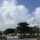 애견동화 | 🐶 제주도 송당 동화마을 애견동반 후기 ✨