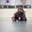 신제주 특무관 이미지