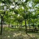 카페 미드슬로프 이미지