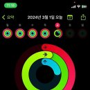 크로스핏 서귀포 이미지