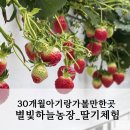 기광농장 네이버블로그