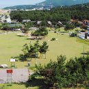 망상오토캠핑리조트 이미지