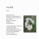 사노라면 - 강릉시 항구윗길 6 | 사노라면