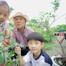 천안농원 이미지