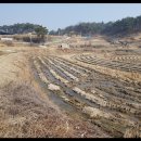 성곡리농로 이미지