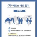 닥터포헤어(잠실점) 이미지