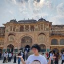 아재로드 | 하나투어 인도 로드트립 밍글링 투어 2030여행 후기 - 5일차(자이푸르)(2026.02.13~19)