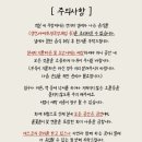 임미임미 이미지