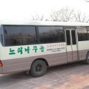 느티나무골 이미지