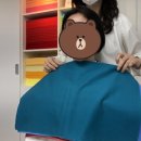 퍼스널컬러이미지호 이미지