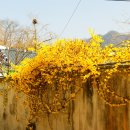 정읍한우 이미지