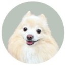 한국지엠연제바로서비스 | 부산 연제왕 칼국수 전문점 내돈내산 후기🍜