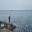 나리김밥 이미지