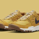 프리테라 이미지