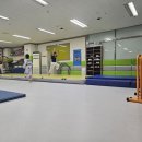 경희대국가대표 풍산태권도장 | 일산하늘마을태권도 우리 아이를 위한 최고의 선택, 경희대 국가대표 풍산태권도